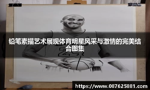 3377体育官网