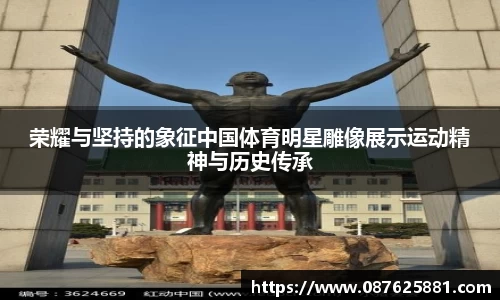 3377体育官网