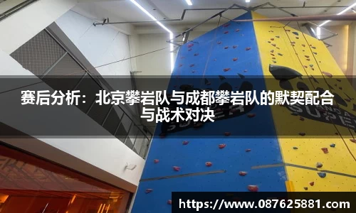 3377体育官网