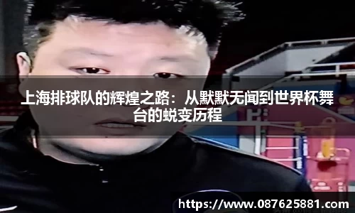 3377体育官网