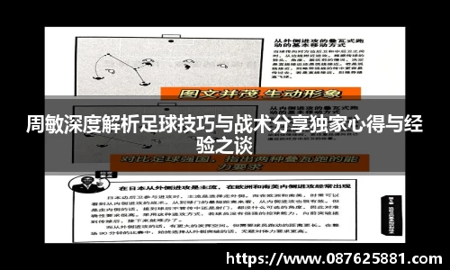 3377体育官网