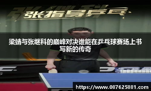 3377体育