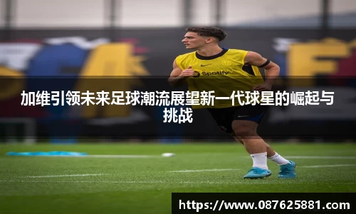 3377体育官网