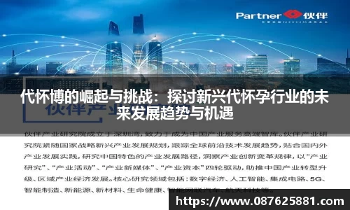 3377体育