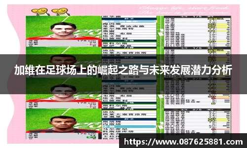 3377体育APP