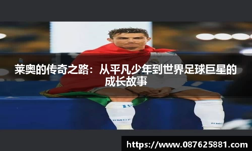 3377体育官网