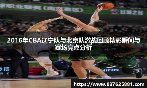 3377体育官网