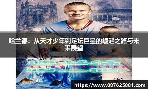 3377体育APP