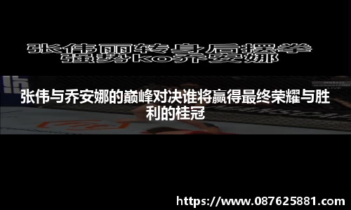 3377体育官网