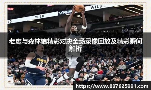 3377体育官网