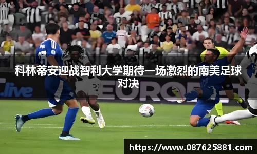 3377体育