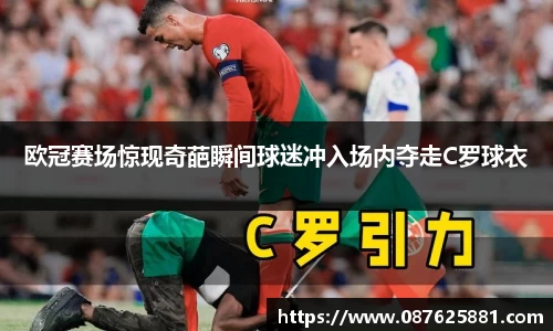 3377体育官网