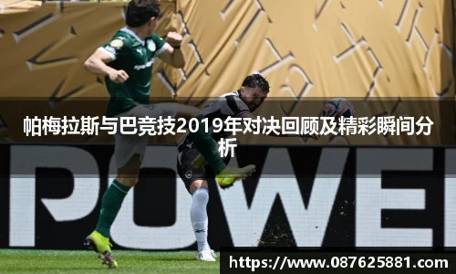 3377体育官网