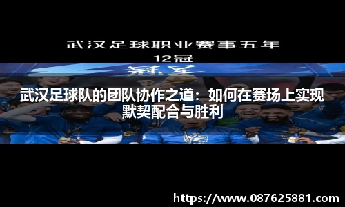 3377体育官网