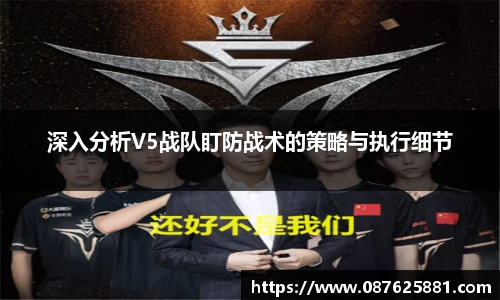 3377体育官网