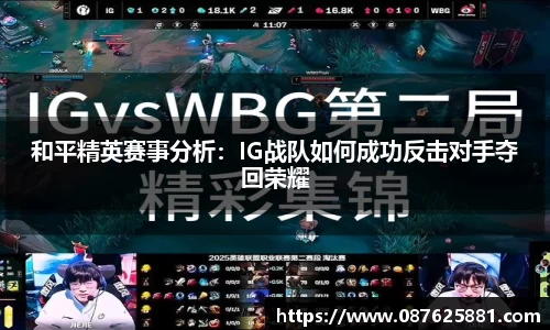 3377体育