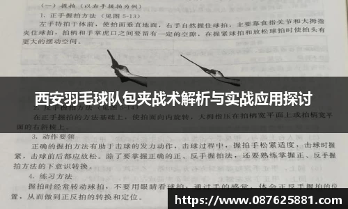 3377体育官网
