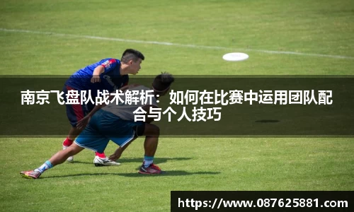 3377体育APP